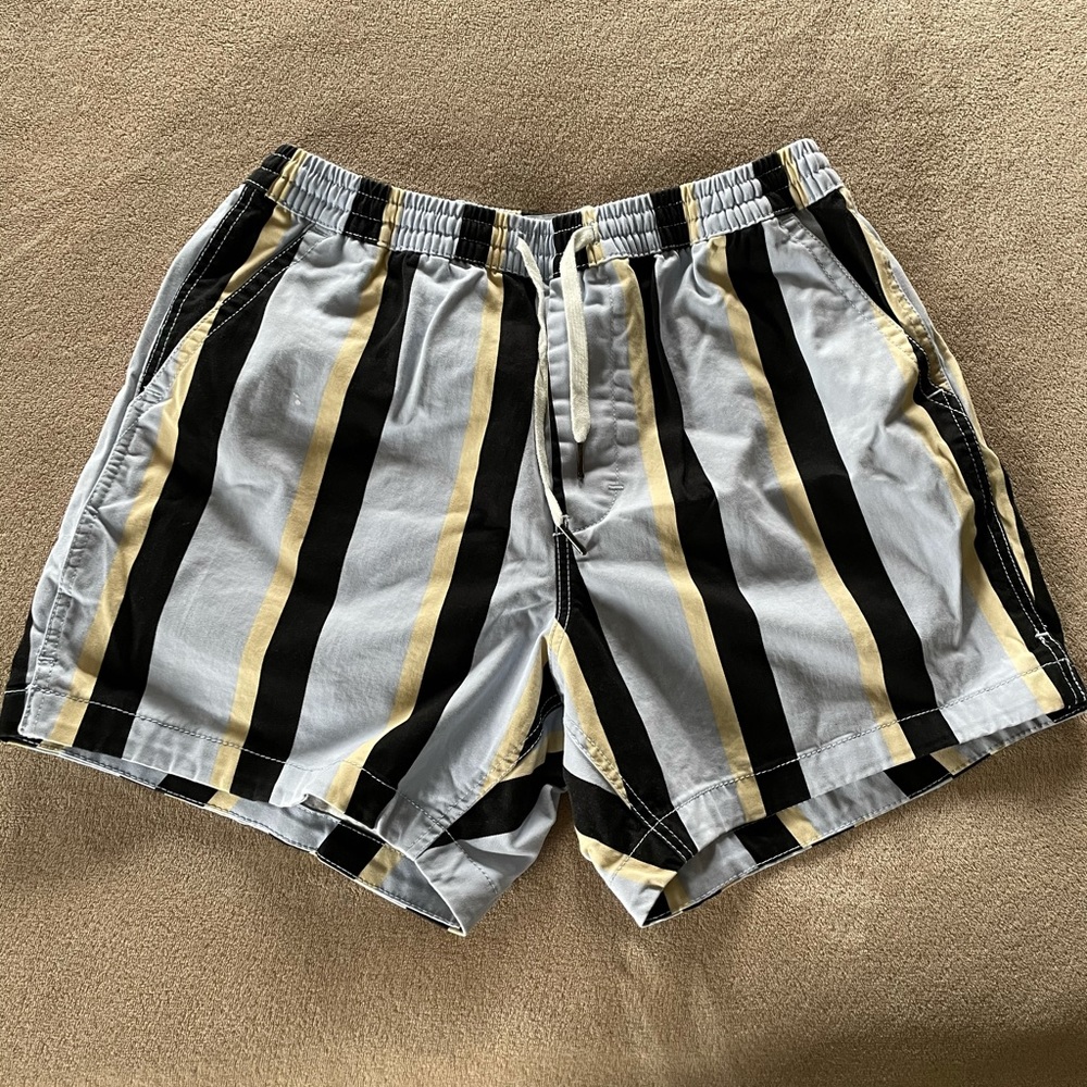 Urban Outfitters Stripped Shorts